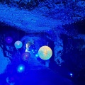 実際訪問したユーザーが直接撮影して投稿した江の島洞窟 / 鍾乳洞江の島岩屋の写真