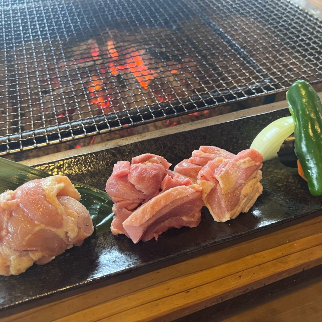 ユーザーが投稿した地鶏もも焼き定食の写真 - 実際訪問したユーザーが直接撮影して投稿した上陽町下横山鶏料理にわのとりの写真