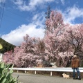 実際訪問したユーザーが直接撮影して投稿した公園目切公園の写真