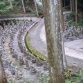 実際訪問したユーザーが直接撮影して投稿した池田町白地寺雲辺寺の写真