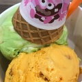 スモールダブルカップ - 実際訪問したユーザーが直接撮影して投稿した前潟アイスクリームサーティワンアイスクリーム イオンモール盛岡店の写真のメニュー情報