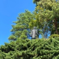 実際訪問したユーザーが直接撮影して投稿した大豆神社春日山神社の写真