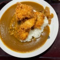 豚カツカレー - 実際訪問したユーザーが直接撮影して投稿した小河内丼もの大かまど飯 丼ぶり 寅福 NEOPASA清水店の写真のメニュー情報