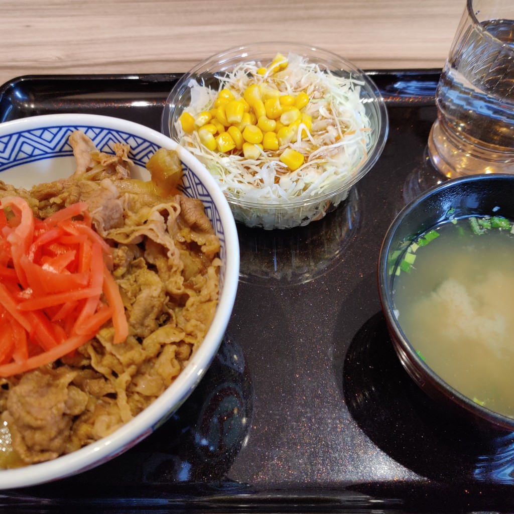 ユーザーが投稿したAサラダ・味噌汁セットの写真 - 実際訪問したユーザーが直接撮影して投稿した神山牛丼吉野家 函館神山店の写真