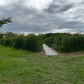 実際訪問したユーザーが直接撮影して投稿した則貞公園ときわ公園の写真