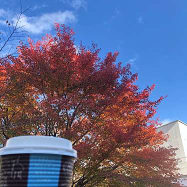 実際訪問したユーザーが直接撮影して投稿した南大沢カフェacorn cafeの写真