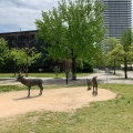 実際訪問したユーザーが直接撮影して投稿した東千田町公園東千田公園の写真