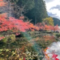 実際訪問したユーザーが直接撮影して投稿した板取神社根道神社の写真