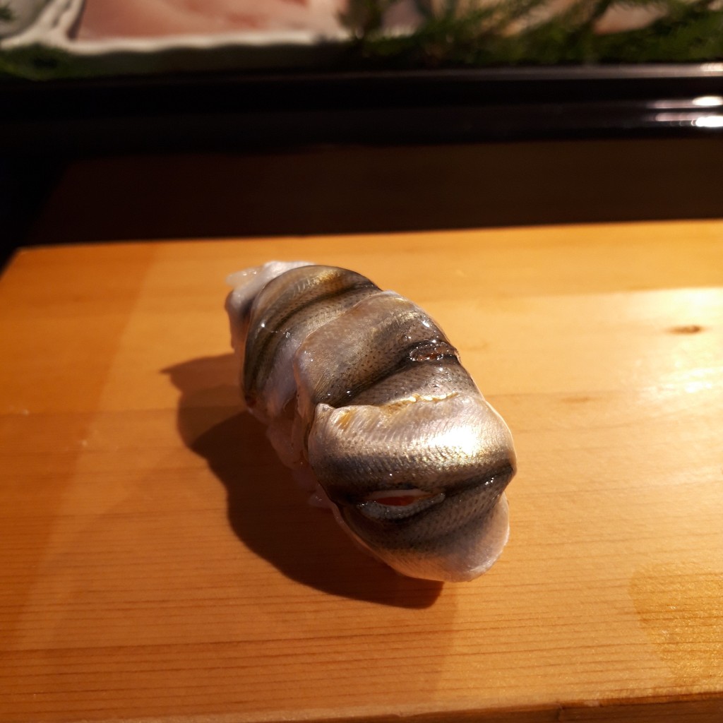 ユーザーが投稿したしんこの写真 - 実際訪問したユーザーが直接撮影して投稿した葵寿司鮨屋 とんぼ 新栄本店の写真