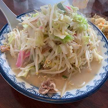 実際訪問したユーザーが直接撮影して投稿した田原ラーメン / つけ麺井手ちゃんぽん 大分わさだ店の写真