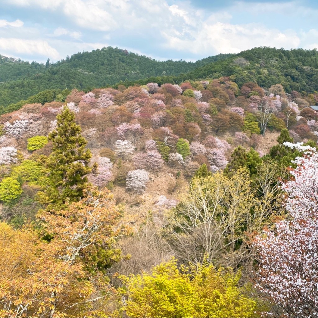 実際訪問したユーザーが直接撮影して投稿した吉野山和食 / 日本料理静亭の写真