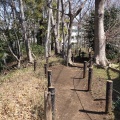 実際訪問したユーザーが直接撮影して投稿した南田中公園南田中憩いの森の写真