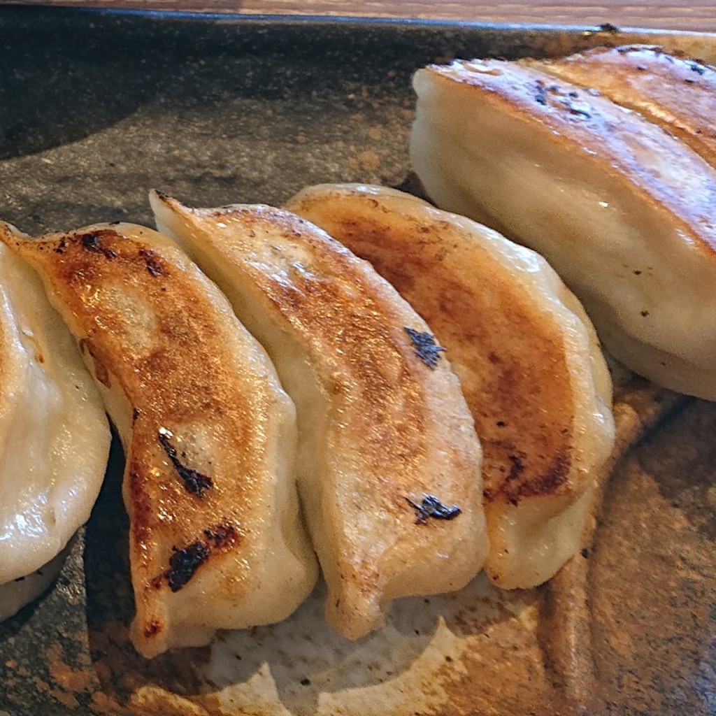 ユーザーが投稿した餃子定食の写真 - 実際訪問したユーザーが直接撮影して投稿した上和田ラーメン / つけ麺銀家 大和店の写真