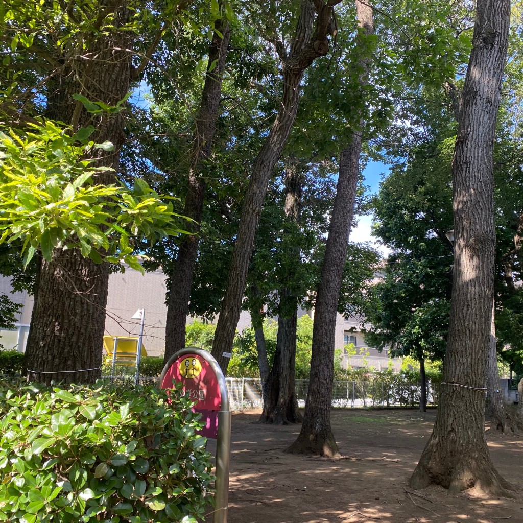 実際訪問したユーザーが直接撮影して投稿した桜堤公園くぬぎ公園の写真