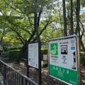 実際訪問したユーザーが直接撮影して投稿した本町公園稲荷山公園の写真