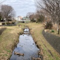 実際訪問したユーザーが直接撮影して投稿した宮沢公園二ッ橋の水辺の写真