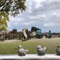 実際訪問したユーザーが直接撮影して投稿した蒲生町上久徳公園蒲生中央公園の写真