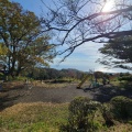 実際訪問したユーザーが直接撮影して投稿した万田公園高麗山公園の写真