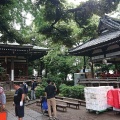 実際訪問したユーザーが直接撮影して投稿した奥沢神社奥沢神社の写真