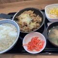 ネギ塩 牛カルビ定食 - 実際訪問したユーザーが直接撮影して投稿した松江町牛丼吉野家 八代店の写真のメニュー情報