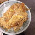 ミニカツ丼セット - 実際訪問したユーザーが直接撮影して投稿した阿久和東うどん辰吉の写真のメニュー情報