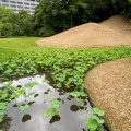 実際訪問したユーザーが直接撮影して投稿した後楽庭園小石川後楽園の写真