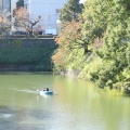 実際訪問したユーザーが直接撮影して投稿した河川千鳥ケ淵の写真