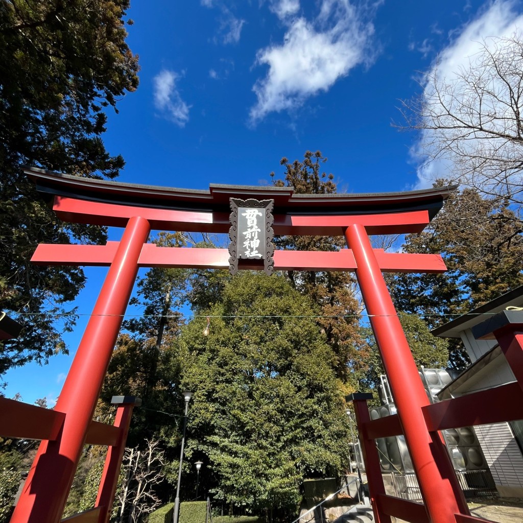 実際訪問したユーザーが直接撮影して投稿した一ノ宮神社一之宮貫前神社の写真