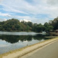 実際訪問したユーザーが直接撮影して投稿した高山町公園くろんど池自然公園の写真