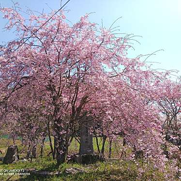 氷室神社のundefinedに実際訪問訪問したユーザーunknownさんが新しく投稿した新着口コミの写真