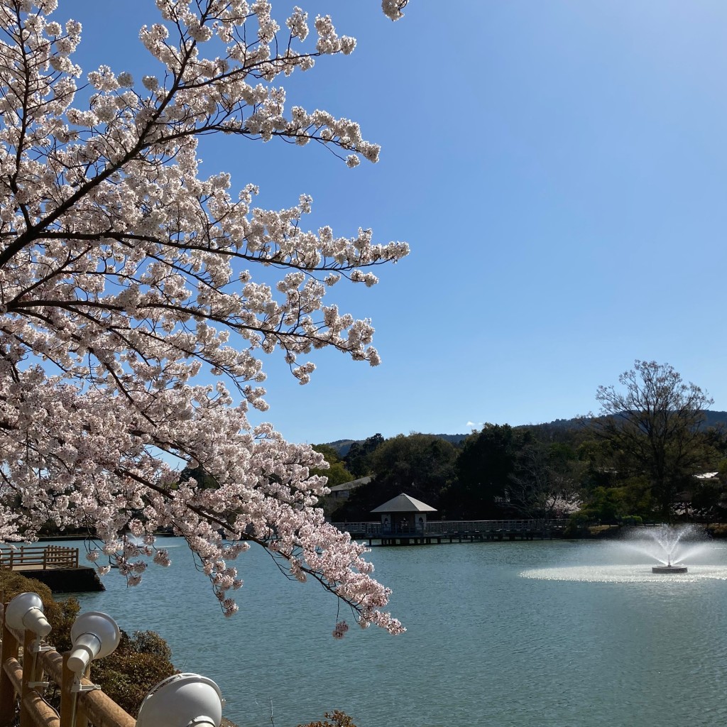 マグノリアうさぎさんが投稿した天神神社のお店長岡天満宮/ナガオカテンマングウの写真