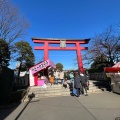 実際訪問したユーザーが直接撮影して投稿した亀戸地域名所亀戸天神社 鳥居の写真