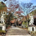 実際訪問したユーザーが直接撮影して投稿した萩尾寺呑山観音寺の写真