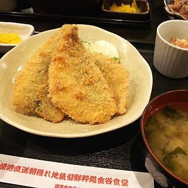 実際訪問したユーザーが直接撮影して投稿した金谷定食屋金谷食堂の写真