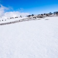 実際訪問したユーザーが直接撮影して投稿した山 / 峠藤原岳の写真