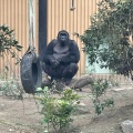 実際訪問したユーザーが直接撮影して投稿した岡崎法勝寺町動物園京都市動物園の写真