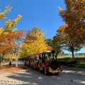 実際訪問したユーザーが直接撮影して投稿した長留公園秩父ミューズパークの写真