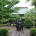 実際訪問したユーザーが直接撮影して投稿した豪徳寺寺豪徳寺の写真