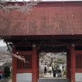 実際訪問したユーザーが直接撮影して投稿した千手町公園千手山公園の写真