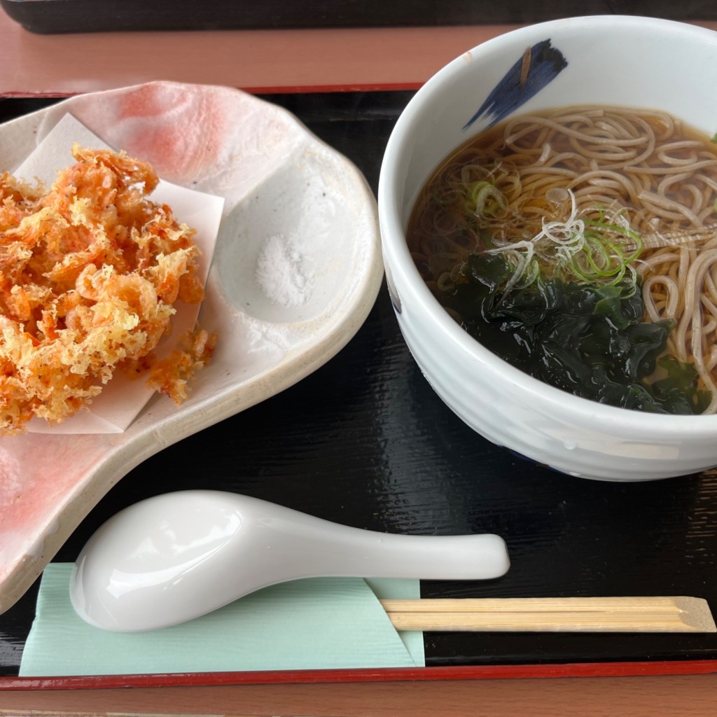 ユーザーが投稿したそばS桜えび丼の写真 - 実際訪問したユーザーが直接撮影して投稿した岩淵和食 / 日本料理レストラン駿河路(スルガジ)の写真