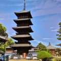 実際訪問したユーザーが直接撮影して投稿した善通寺町寺善通寺の写真