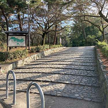 実際訪問したユーザーが直接撮影して投稿した公園円山公園 祇園町北側の写真