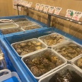 実際訪問したユーザーが直接撮影して投稿した小林魚介 / 海鮮料理活貝センターの写真