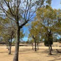 実際訪問したユーザーが直接撮影して投稿した寺尾町公園観音山ファミリーパークの写真