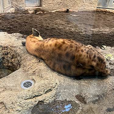 河北町児童動物園のundefinedに実際訪問訪問したユーザーunknownさんが新しく投稿した新着口コミの写真