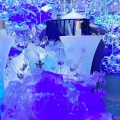 実際訪問したユーザーが直接撮影して投稿した有楽町テーマカフェNAKED FLOWERS CAFEの写真