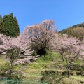 実際訪問したユーザーが直接撮影して投稿した榛原赤埴寺佛隆寺の写真