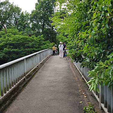 実際訪問したユーザーが直接撮影して投稿した関町北橋中ノ橋の写真