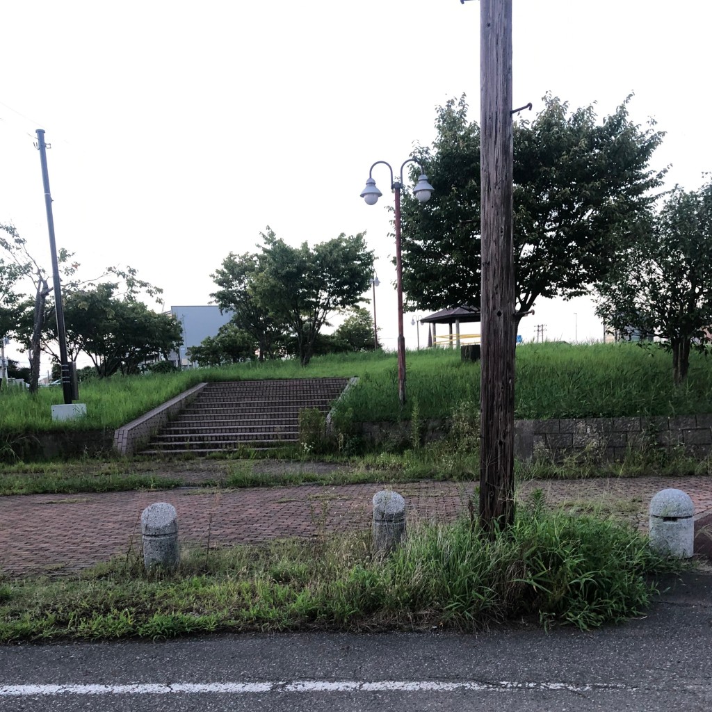 実際訪問したユーザーが直接撮影して投稿した常盤台公園ときわだい公園の写真