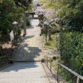 実際訪問したユーザーが直接撮影して投稿した志賀島神社志賀海神社の写真